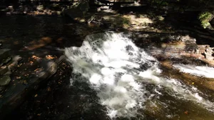 Cascading Waters Haven thumbnail 59