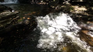 Cascading Waters Haven thumbnail 60