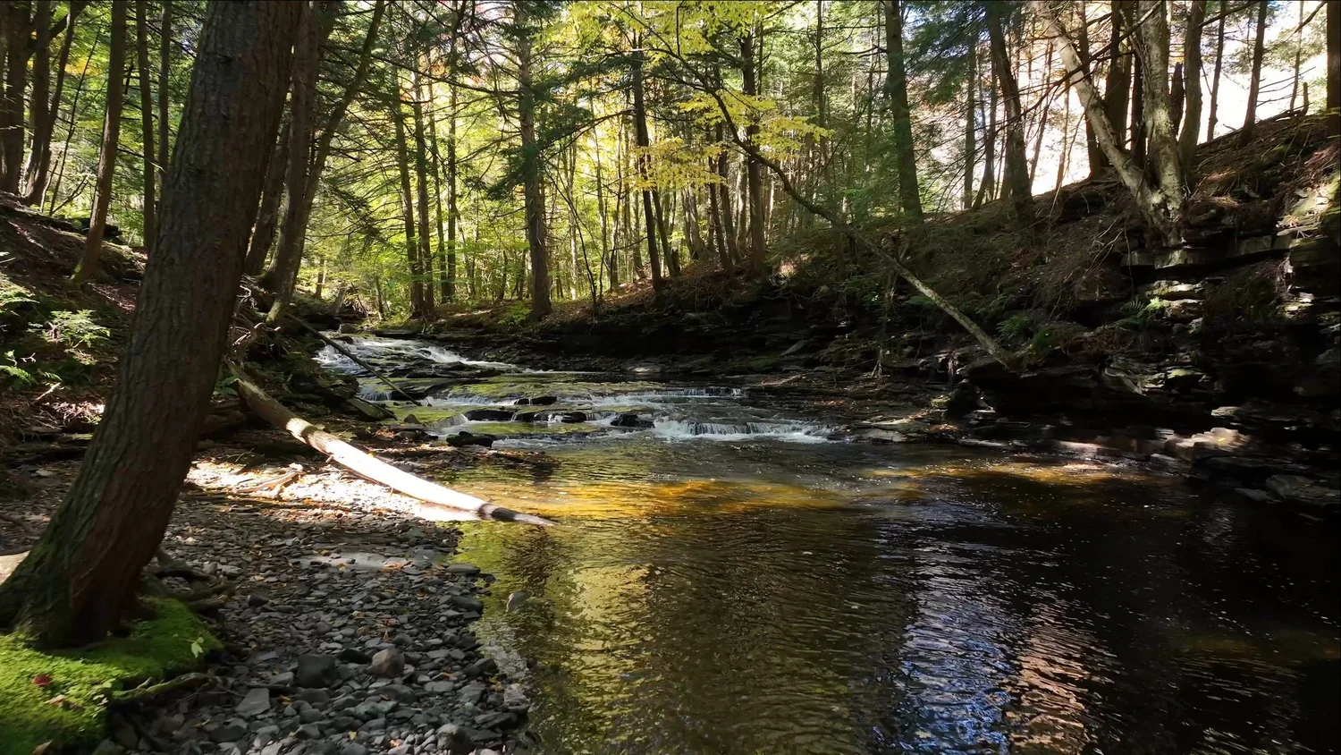 Cascading Waters Haven — photograph 64