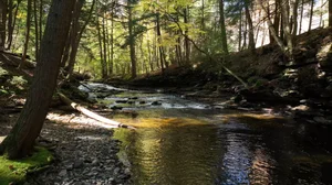 Cascading Waters Haven thumbnail 64