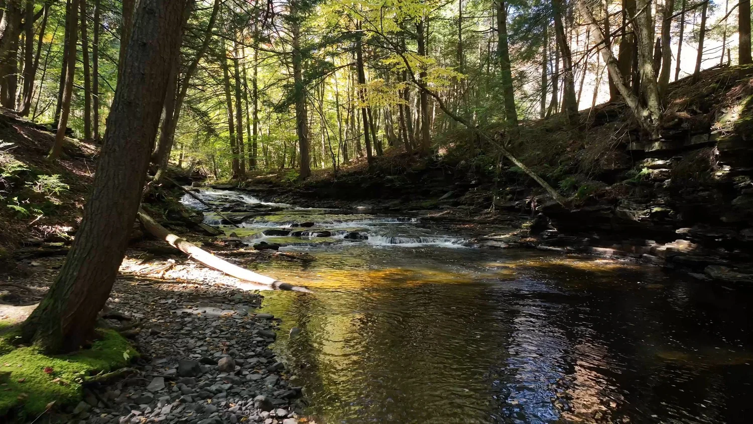 Cascading Waters Haven — photograph 65
