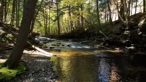 Cascading Waters Haven thumbnail 65
