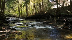 Cascading Waters Haven thumbnail 66
