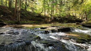 Cascading Waters Haven thumbnail 67