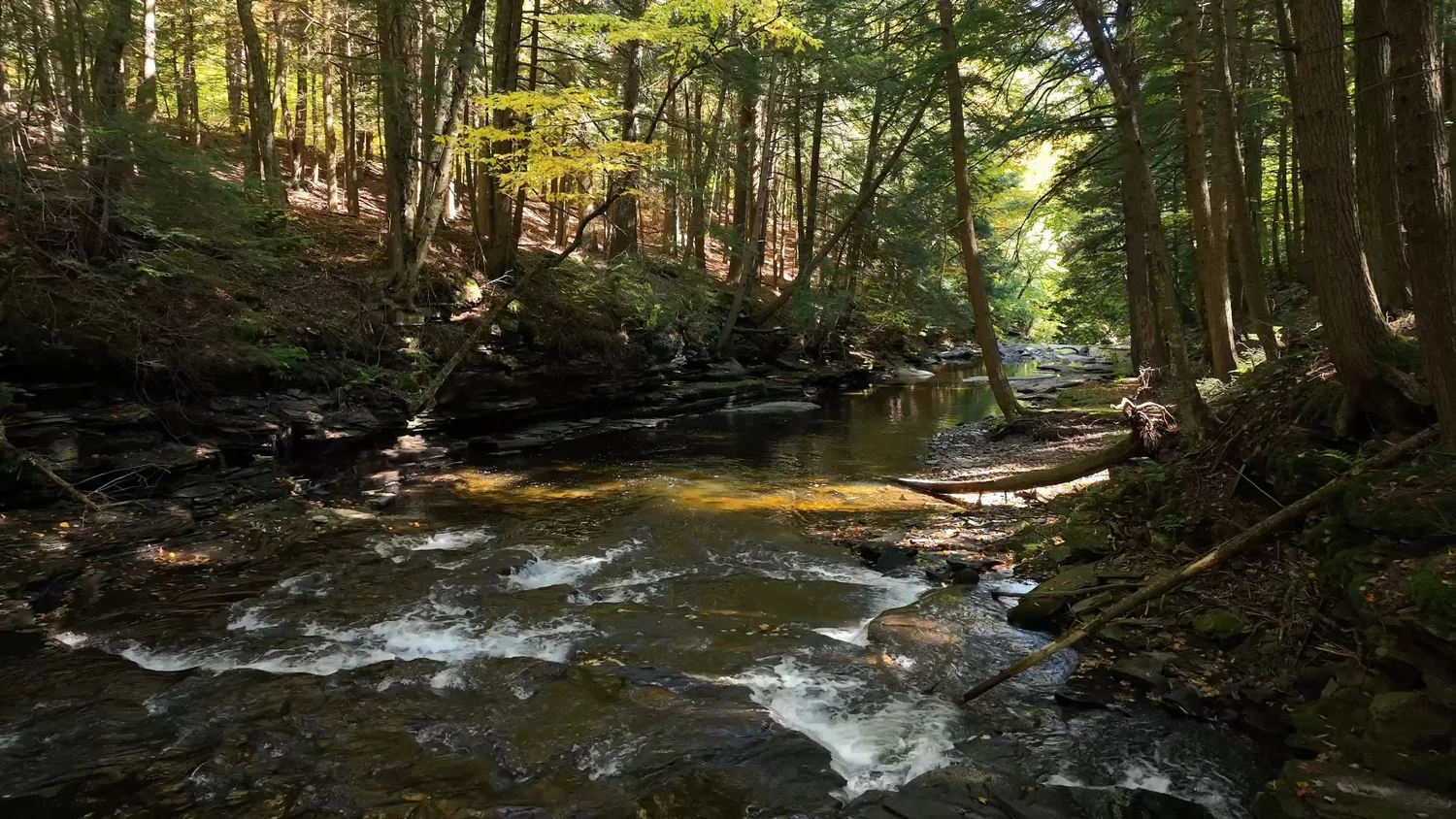 Cascading Waters Haven — photograph 69