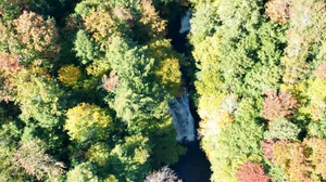 Cascading Waters Haven thumbnail 70
