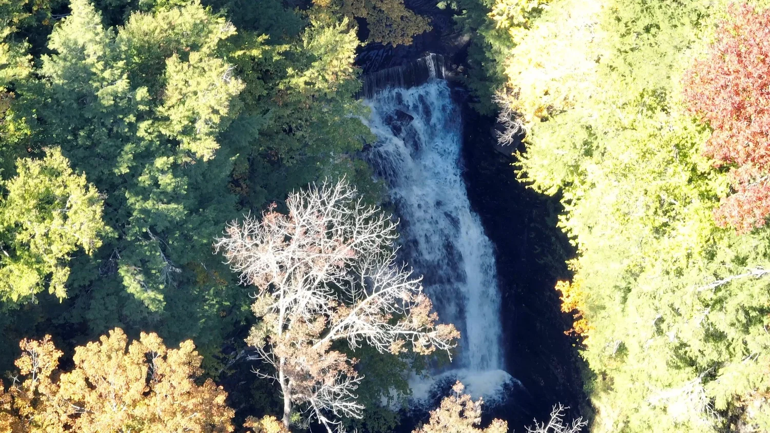 Cascading Waters Haven — photograph 73