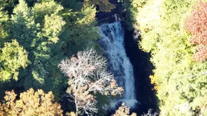 Cascading Waters Haven thumbnail 73