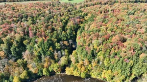 Cascading Waters Haven thumbnail 79