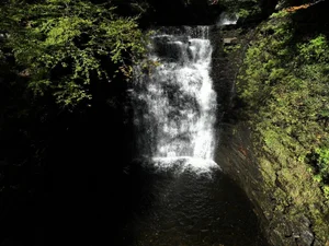 Cascading Waters Haven thumbnail 81