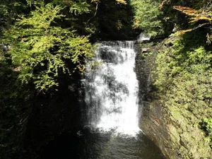 Cascading Waters Haven thumbnail 80