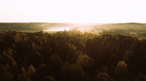 Cascading Waters Haven thumbnail 2