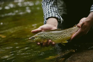 Cascading Waters Haven thumbnail 85