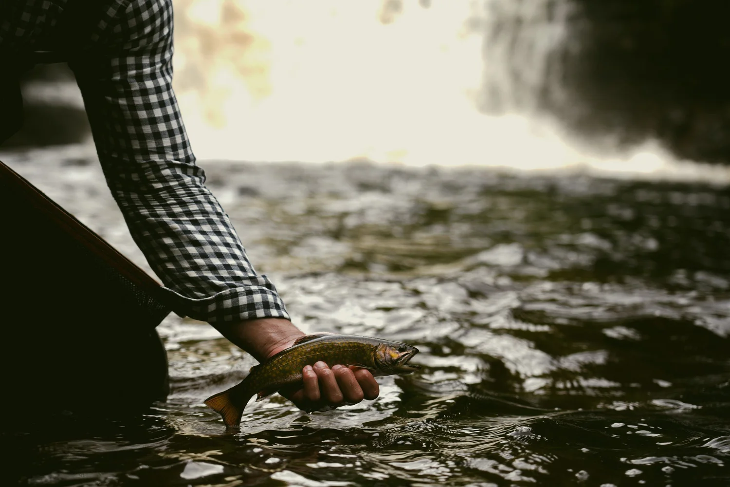 Cascading Waters Haven — photograph 87