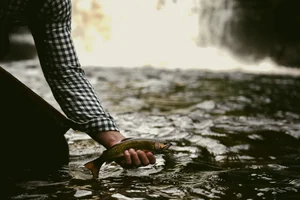 Cascading Waters Haven thumbnail 87