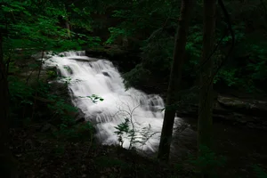 Cascading Waters Haven thumbnail 83