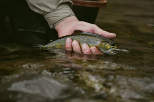 Cascading Waters Haven thumbnail 92