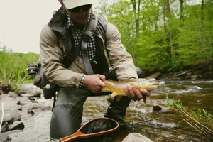 Cascading Waters Haven thumbnail 93