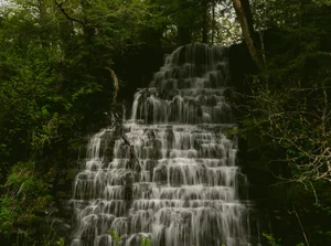 Cascading Waters Haven thumbnail 84