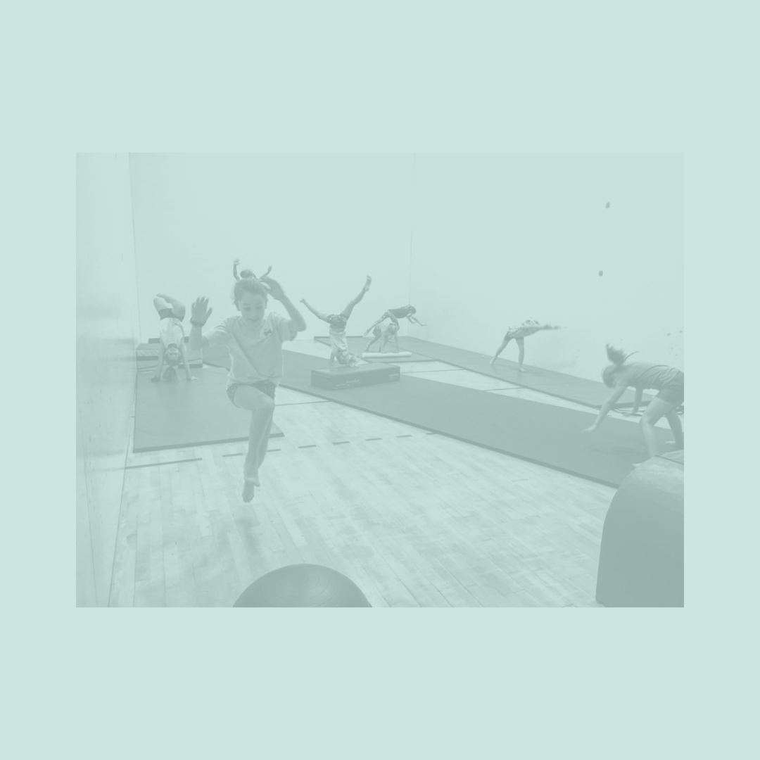 TUMBLEFIT 3.png
