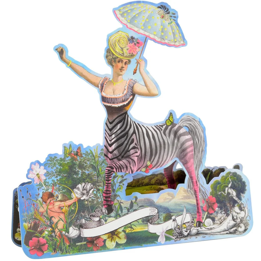 Crazy_Horse_Boxed_Note_Cards_christianlacroix3box3_1024x1024.jpg