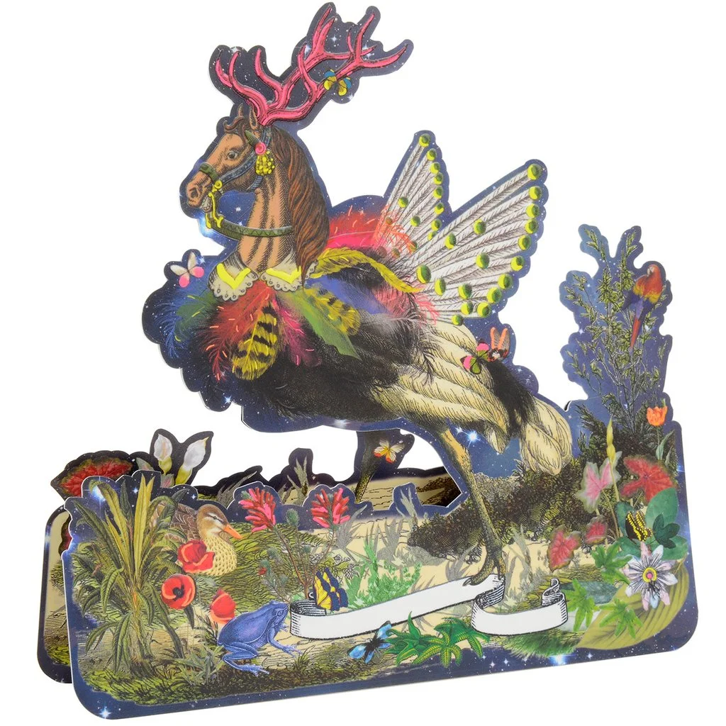 Crazy_Horse_Boxed_Note_Cards_christianlacroix5box5_1024x1024.jpg