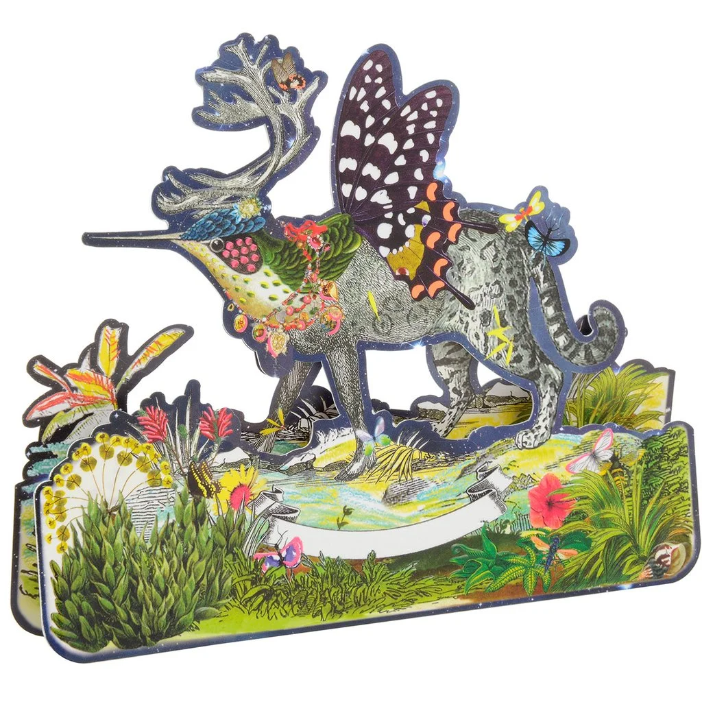 Crazy_Horse_Boxed_Note_Cards_christianlacroix6box6_1024x1024.jpg