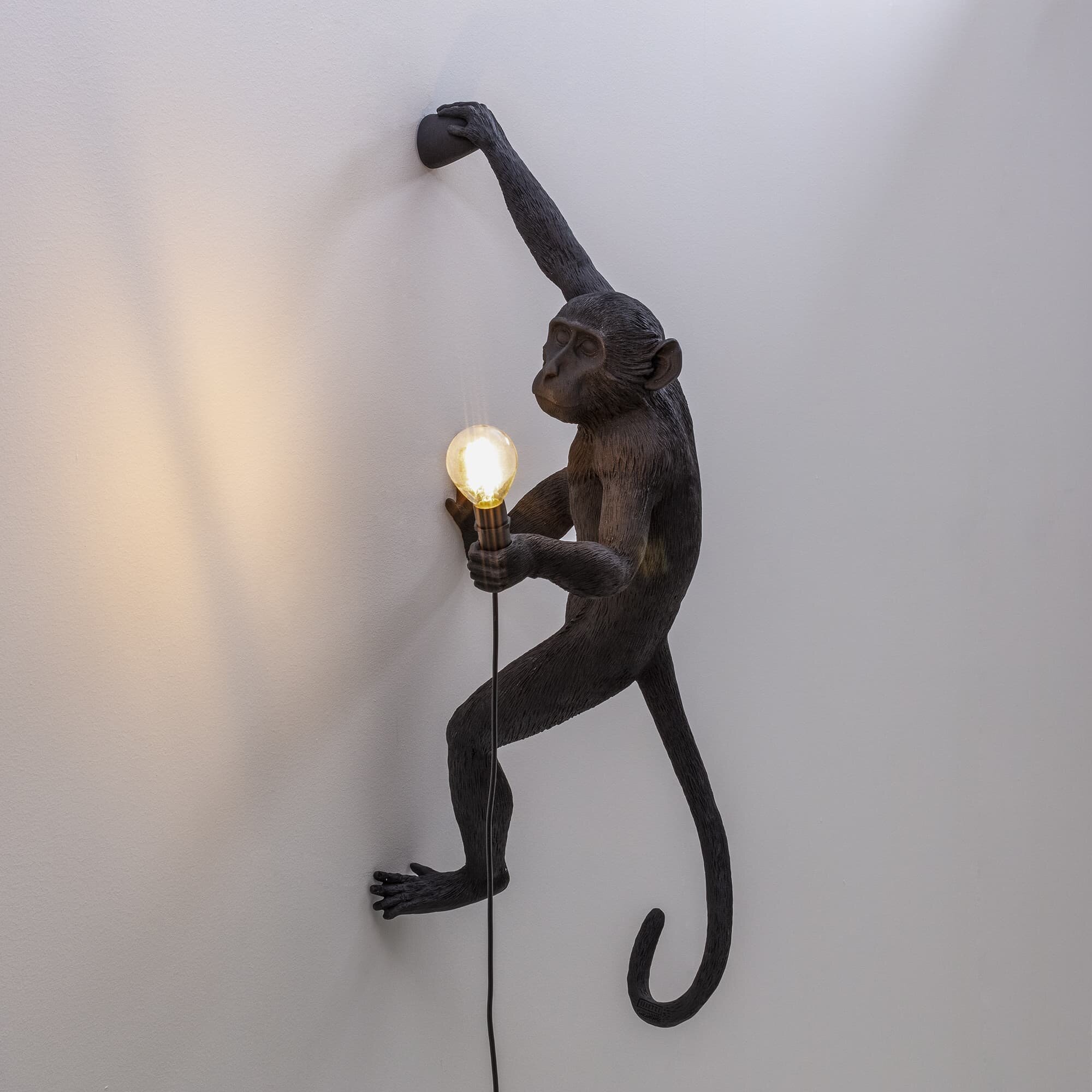 Onderzoek Pathologisch toon Right Handed Hanging Monkey Lamp in Black — Parisa