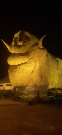 bigmerino2019.jpg