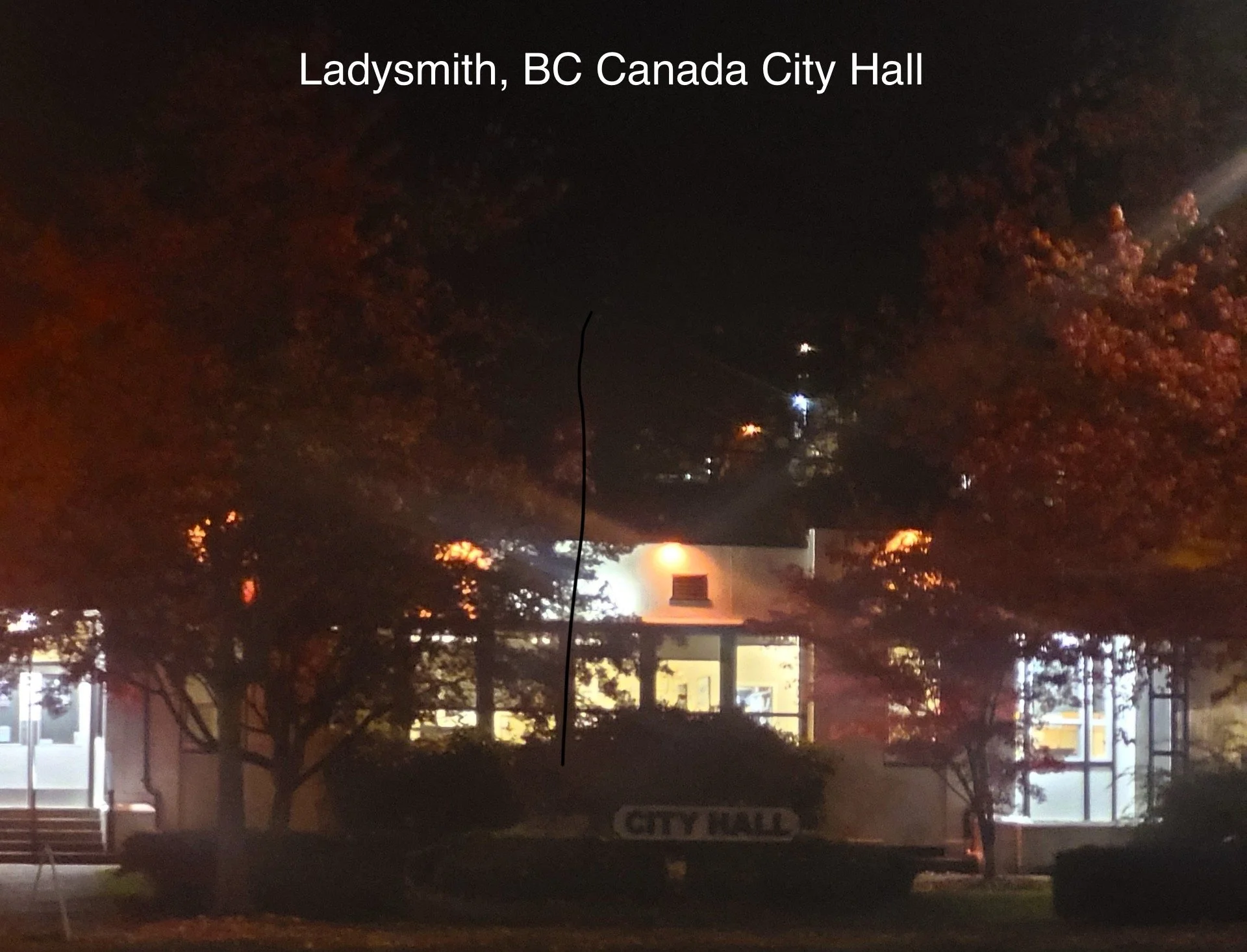 2025 November CRPS Awareness Day Ladysmith City Hall.JPEG