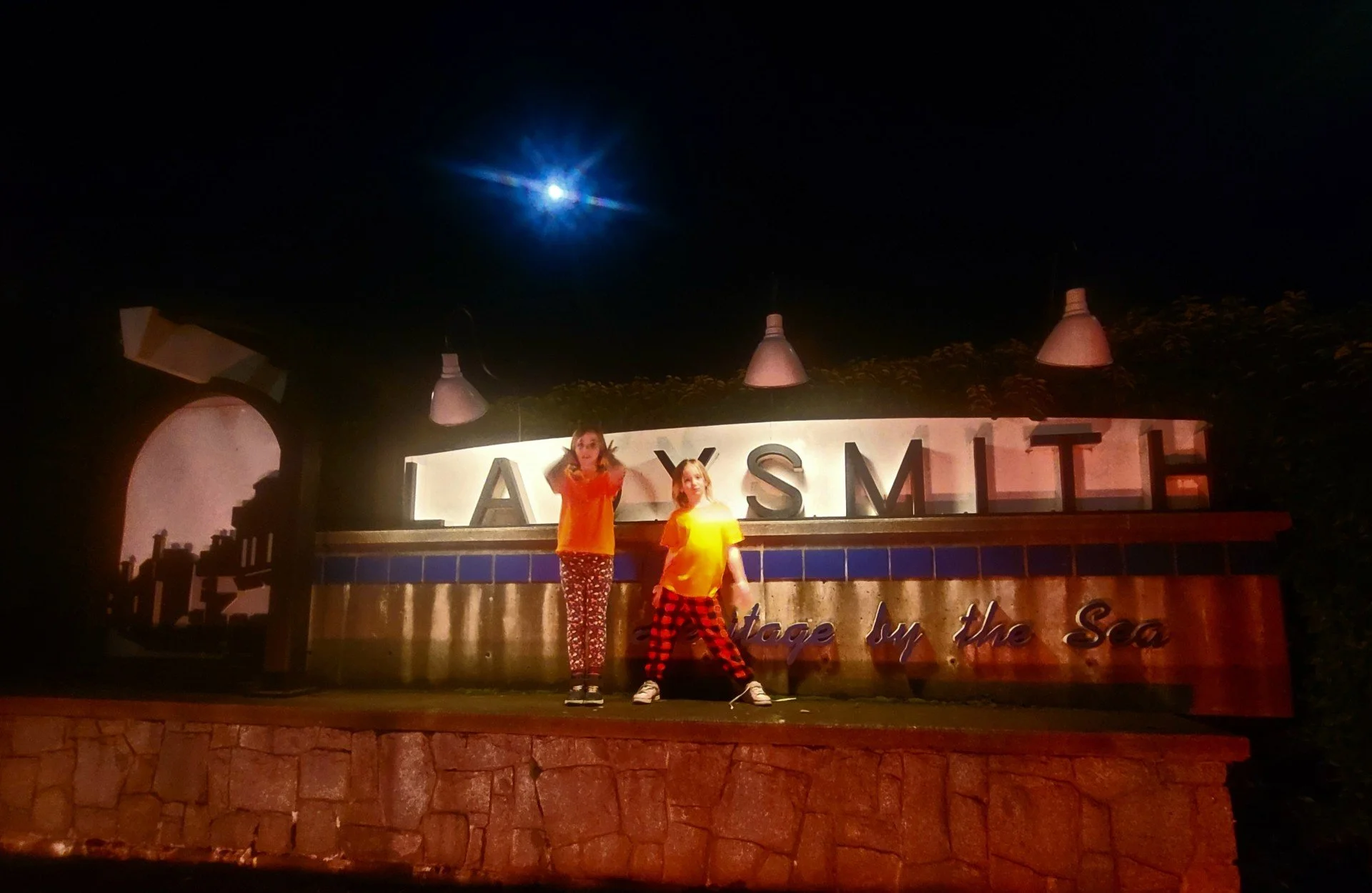 2025 November CRPS Awareness Day Ladysmith Sign.jpg