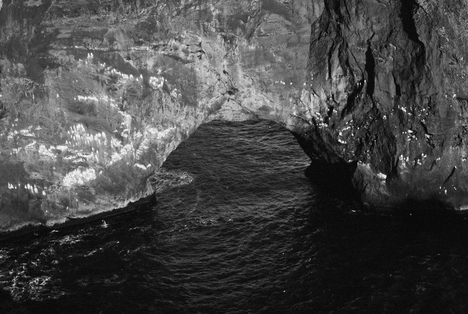 Gestur-31.jpg