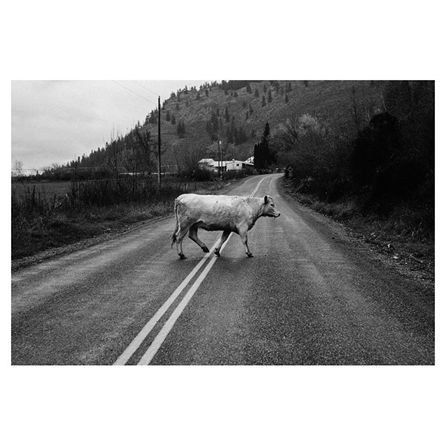 The Great Escape. Winthrop, WA

#leicam8 #leicacraft