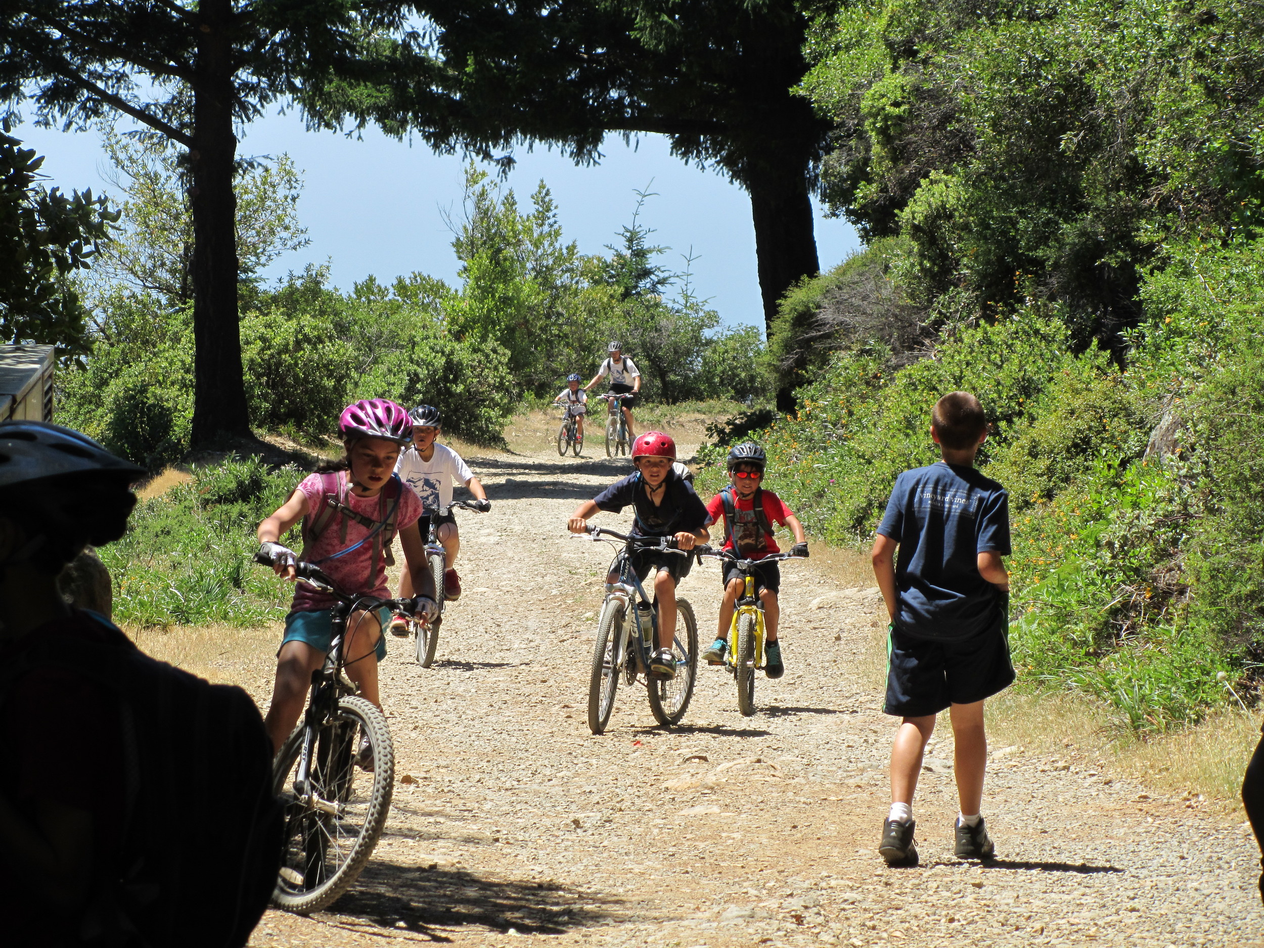 Arriving at the top of Mt Tam 