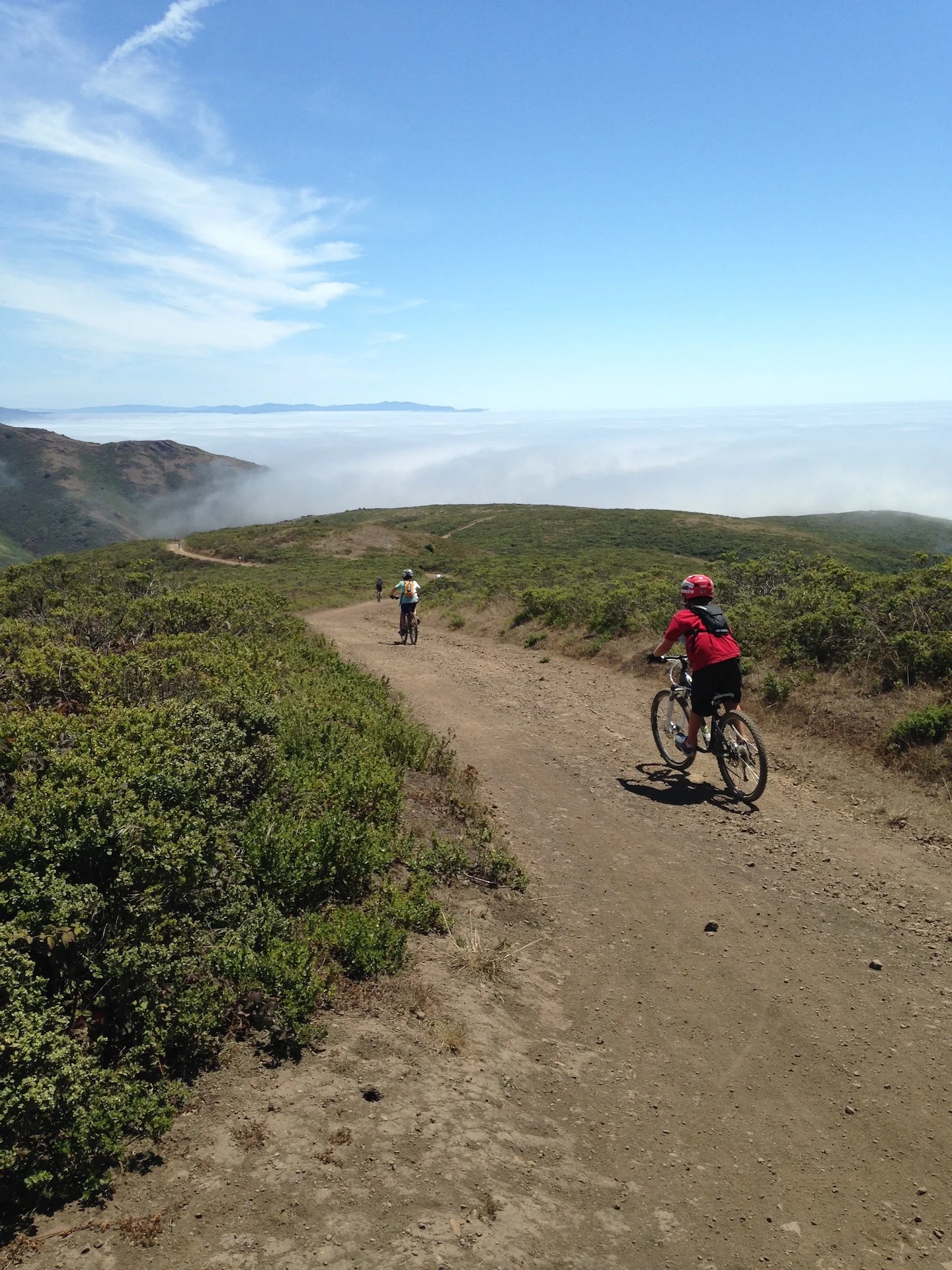 Summer Mountain Bike Camp ride in Marin County, Fairfax, Ross, Kentfield, San Rafael — Mt Tam