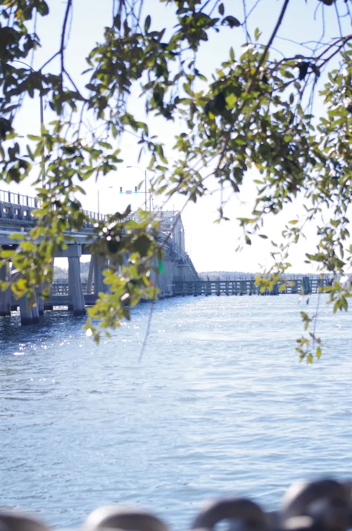 bridge.jpg