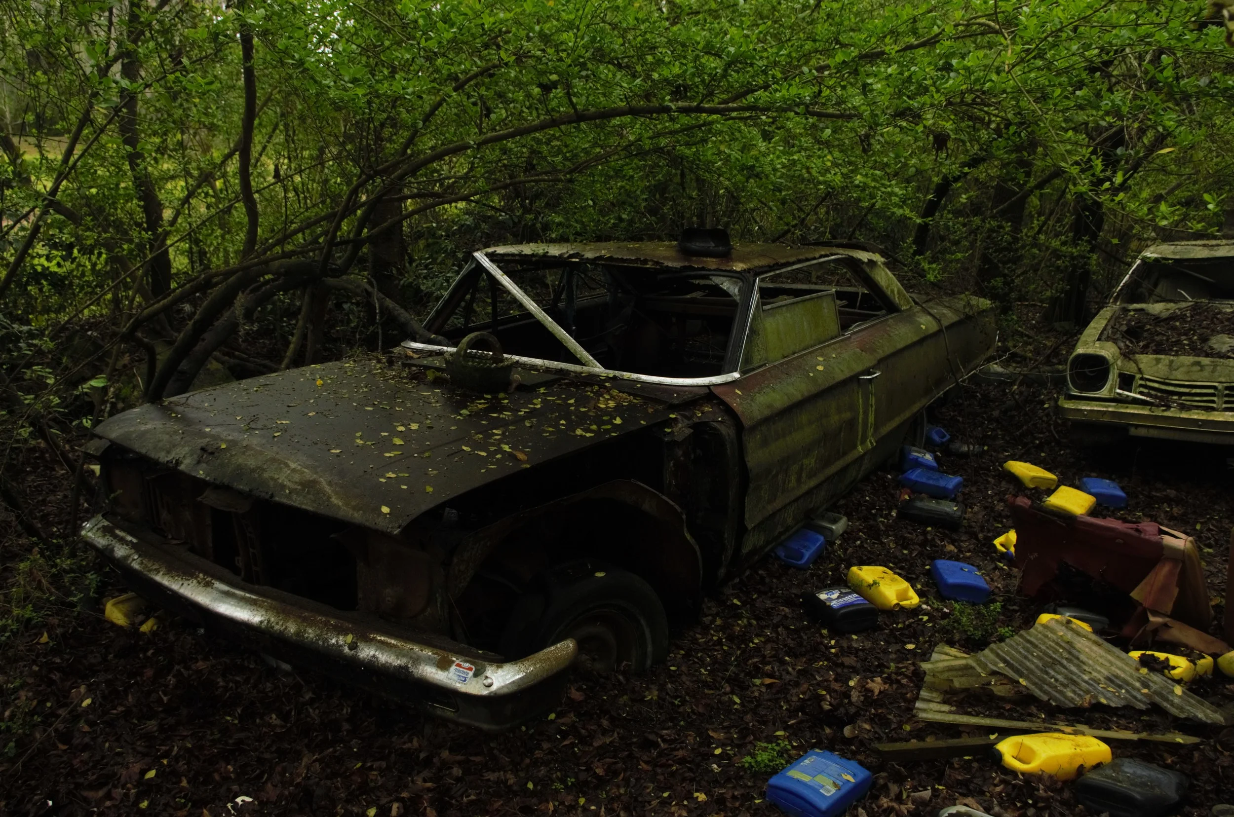 Car.jpg