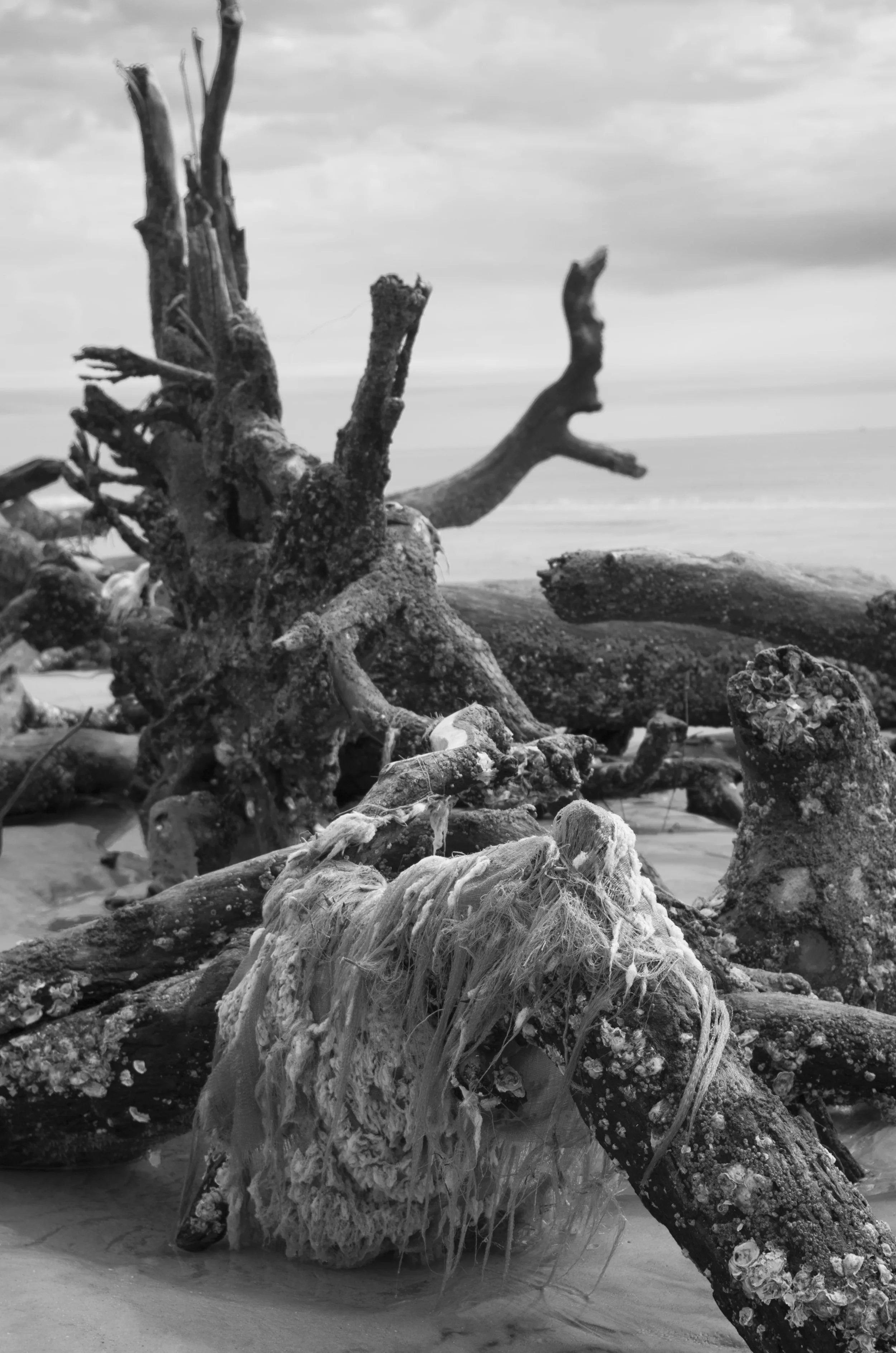 sack.jpg