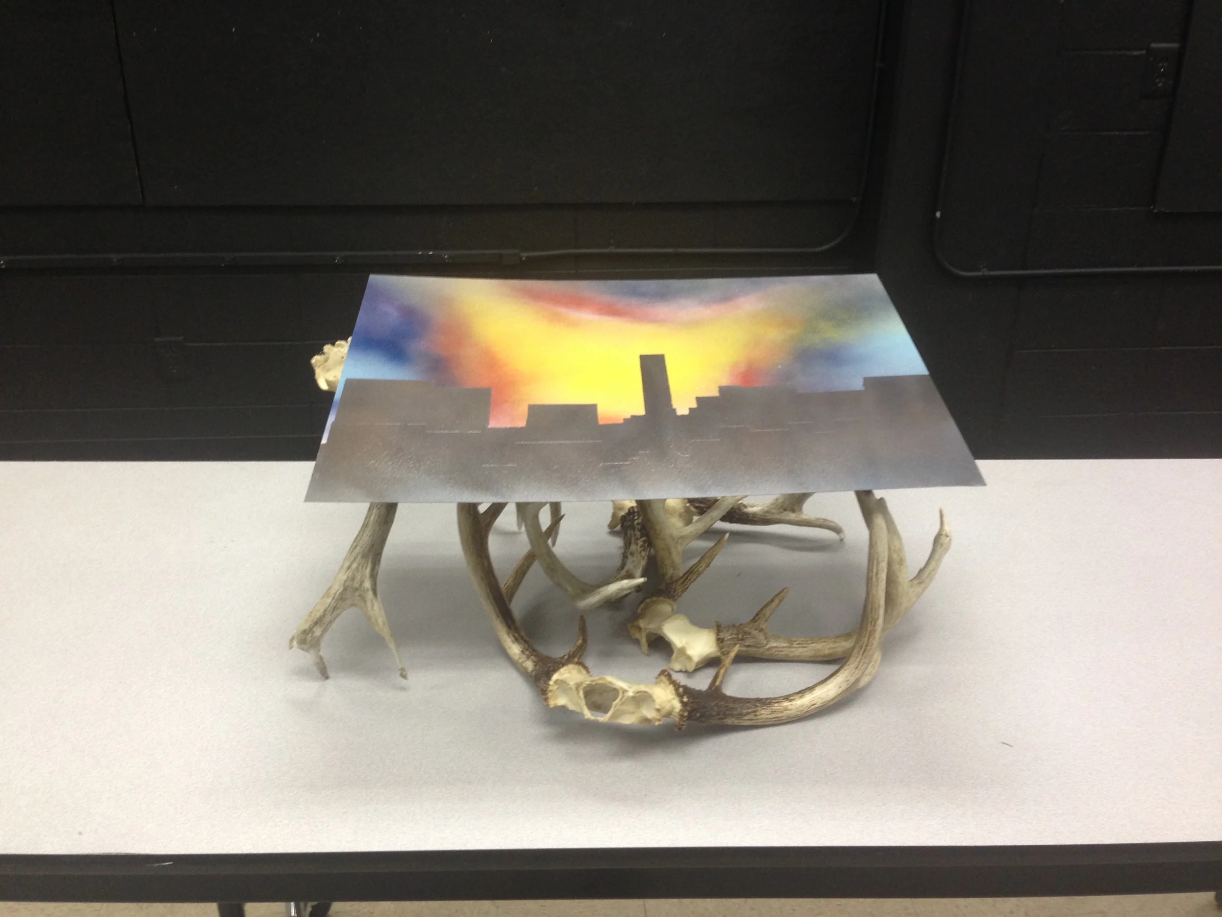  Spray Paint on Metal (on top of deer antlers) 