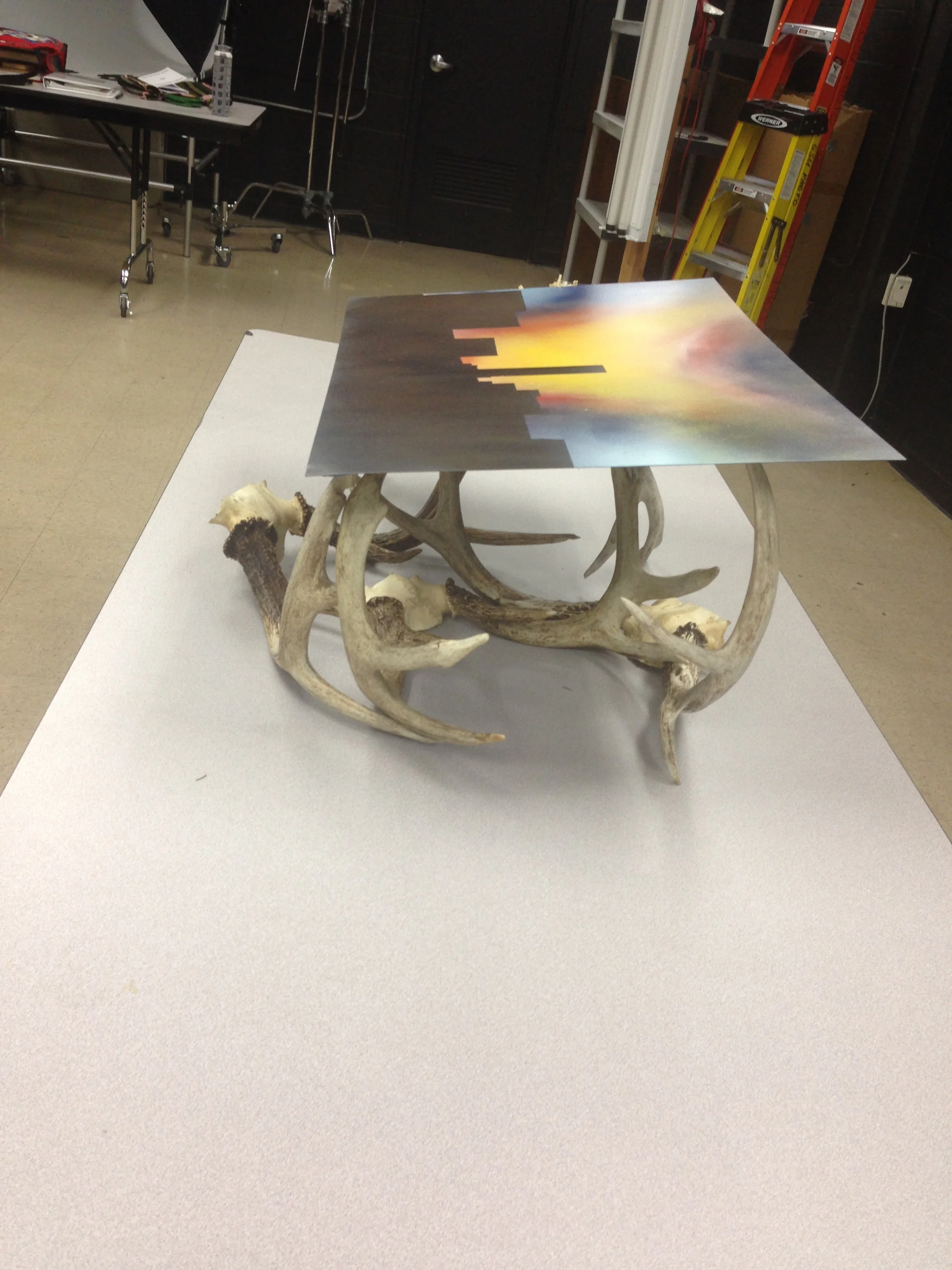  Spray Paint on Metal (on top of deer antlers) 