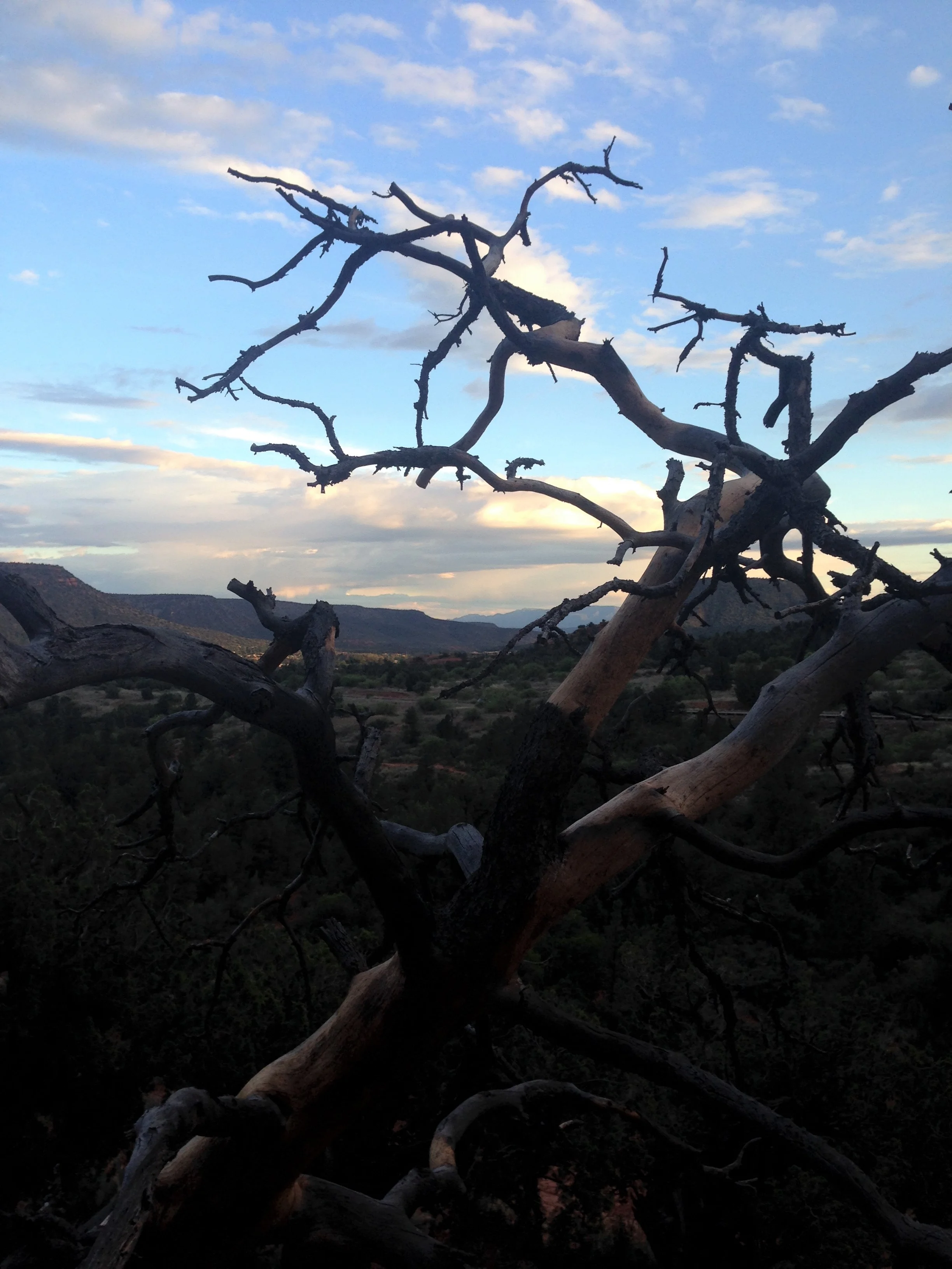 Southwest hike at Sunset