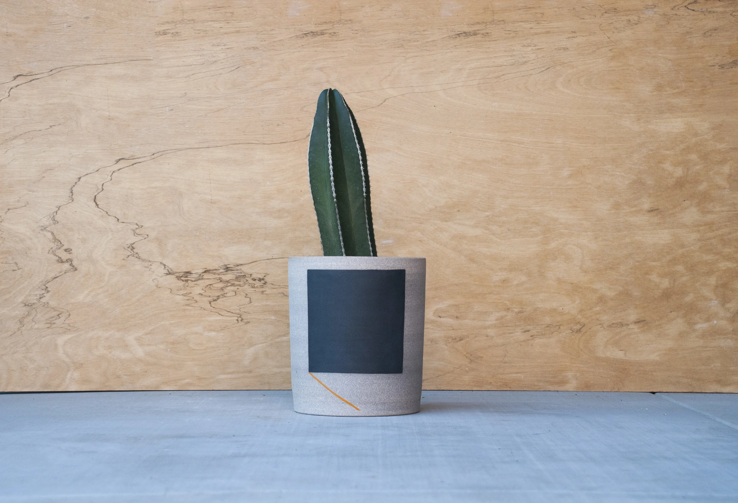black square planter with catus.jpg