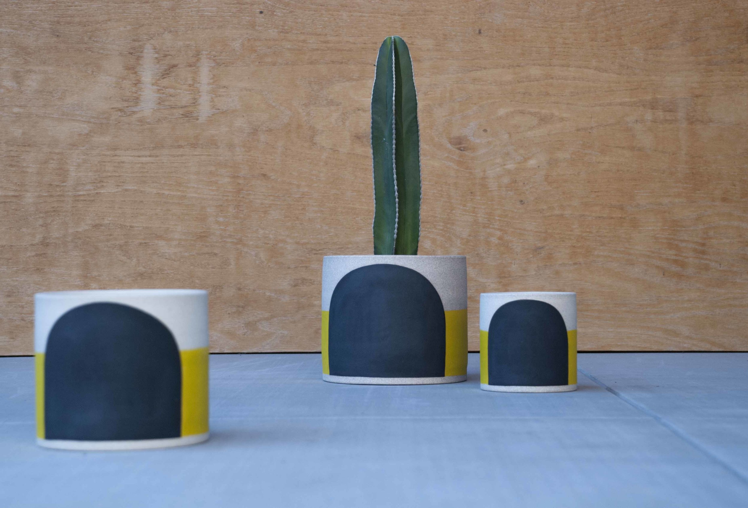 yellow and black tunnel planter.JPG