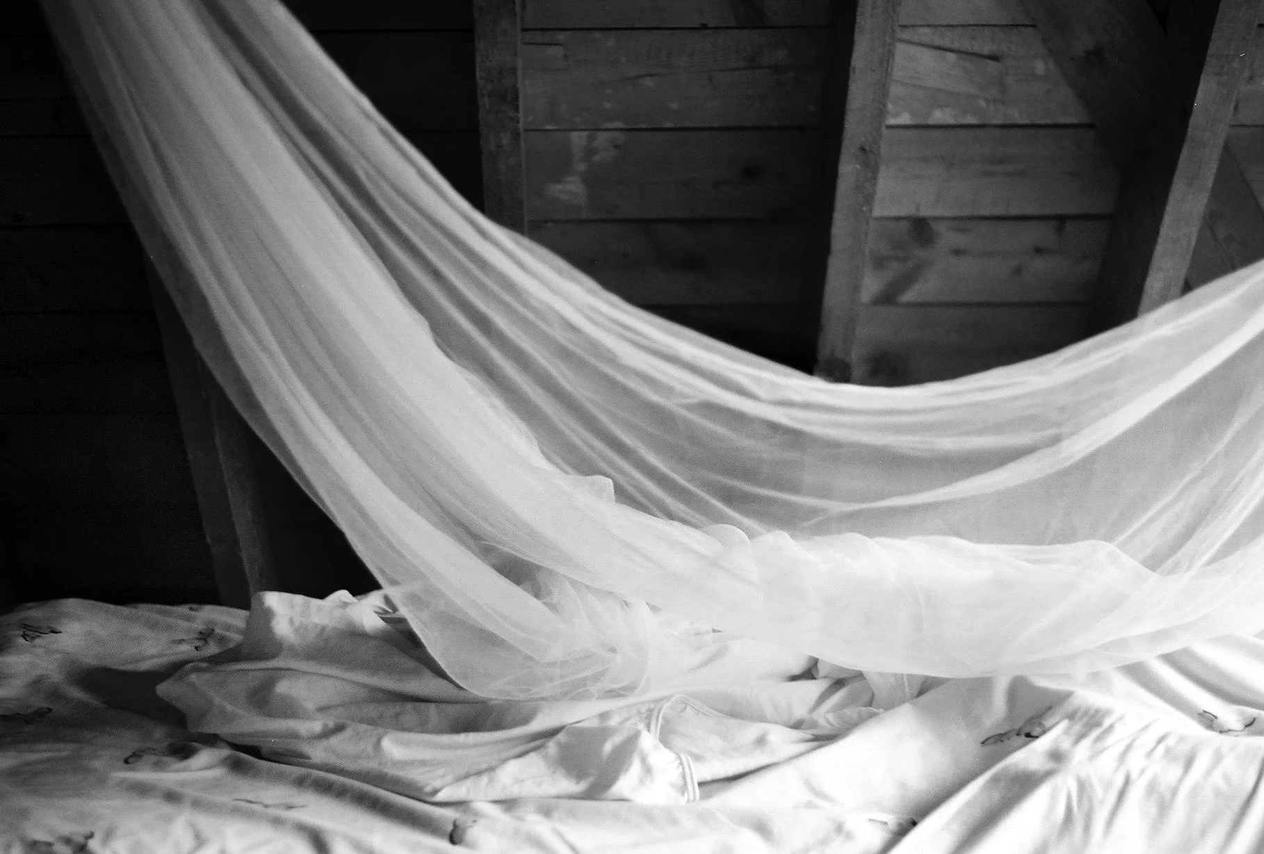 hostel-shrouds.jpg