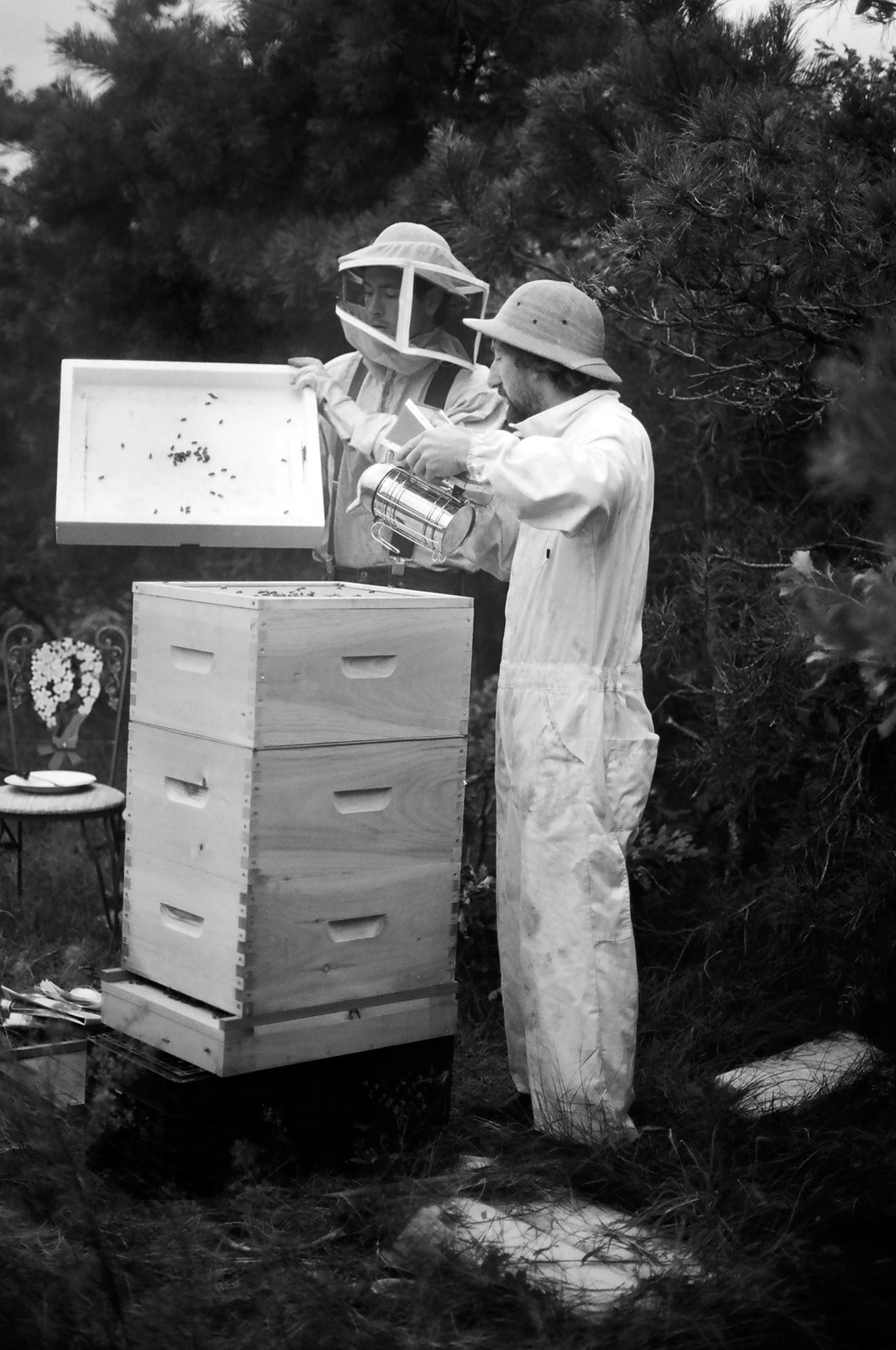 Paradis_Bees.jpg