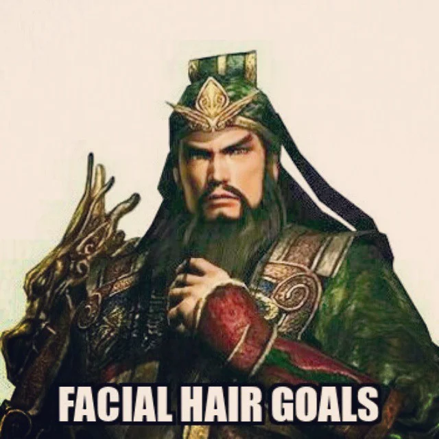 Word… #beard #goatee #beardgoals #guanyu #liubei #zhangfei #shu #dynastywarriors #tecmokoei #romanceofthe3kingdoms #themostbeautifulbeardintheland