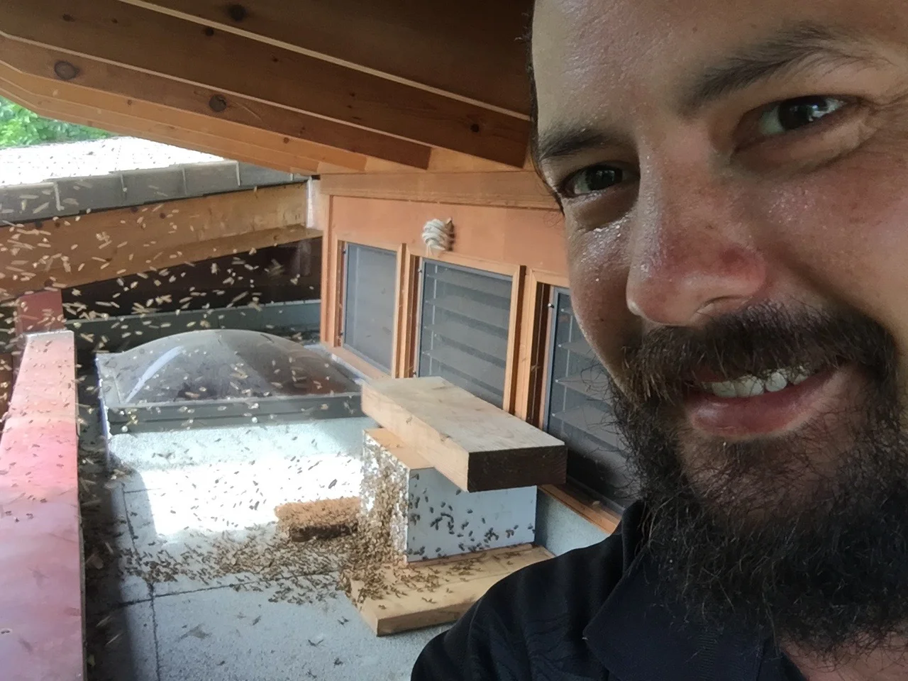 Above: Apparently the bees are a fan of the Living Buildings too. 