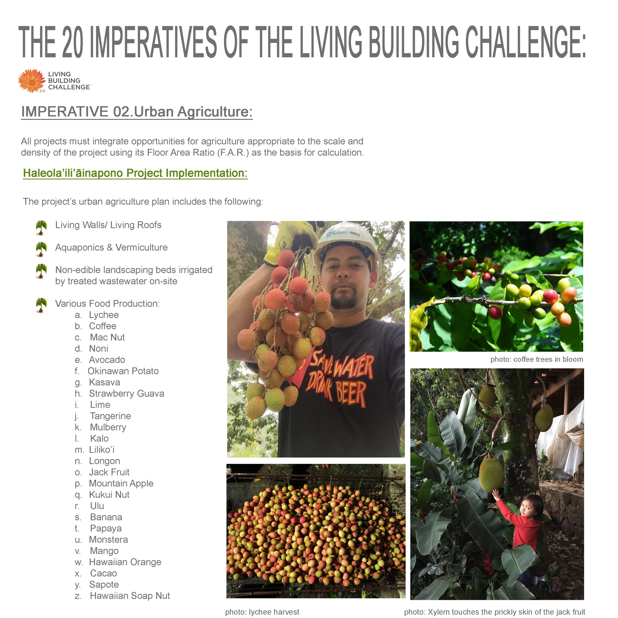 LBCpg6.jpg