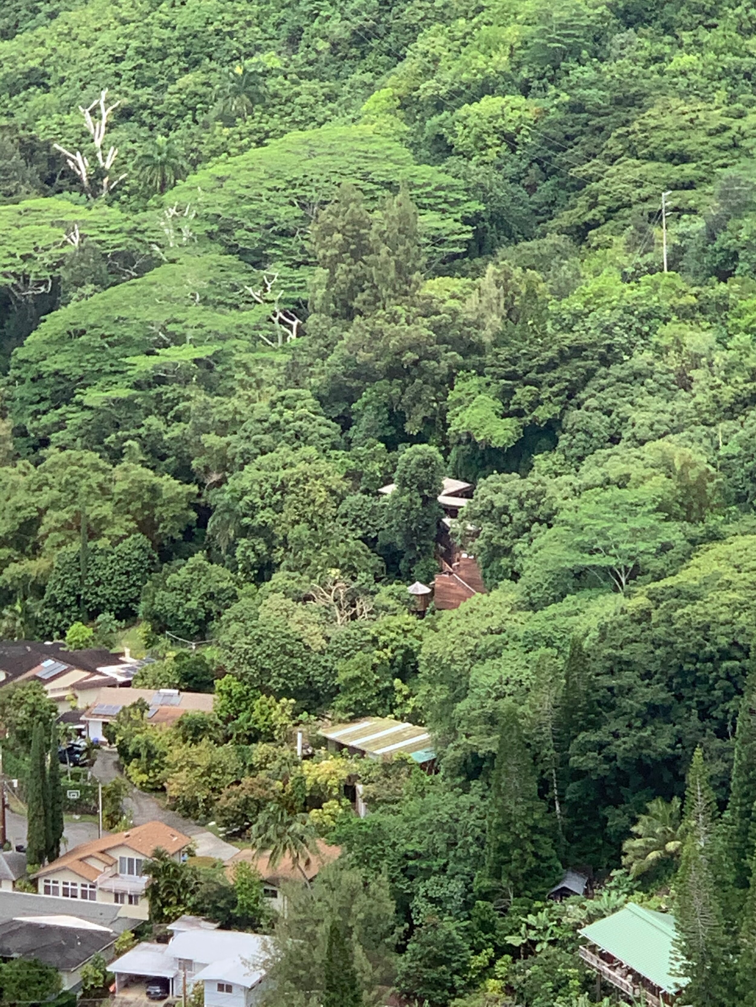 IMG_6108.jpeg