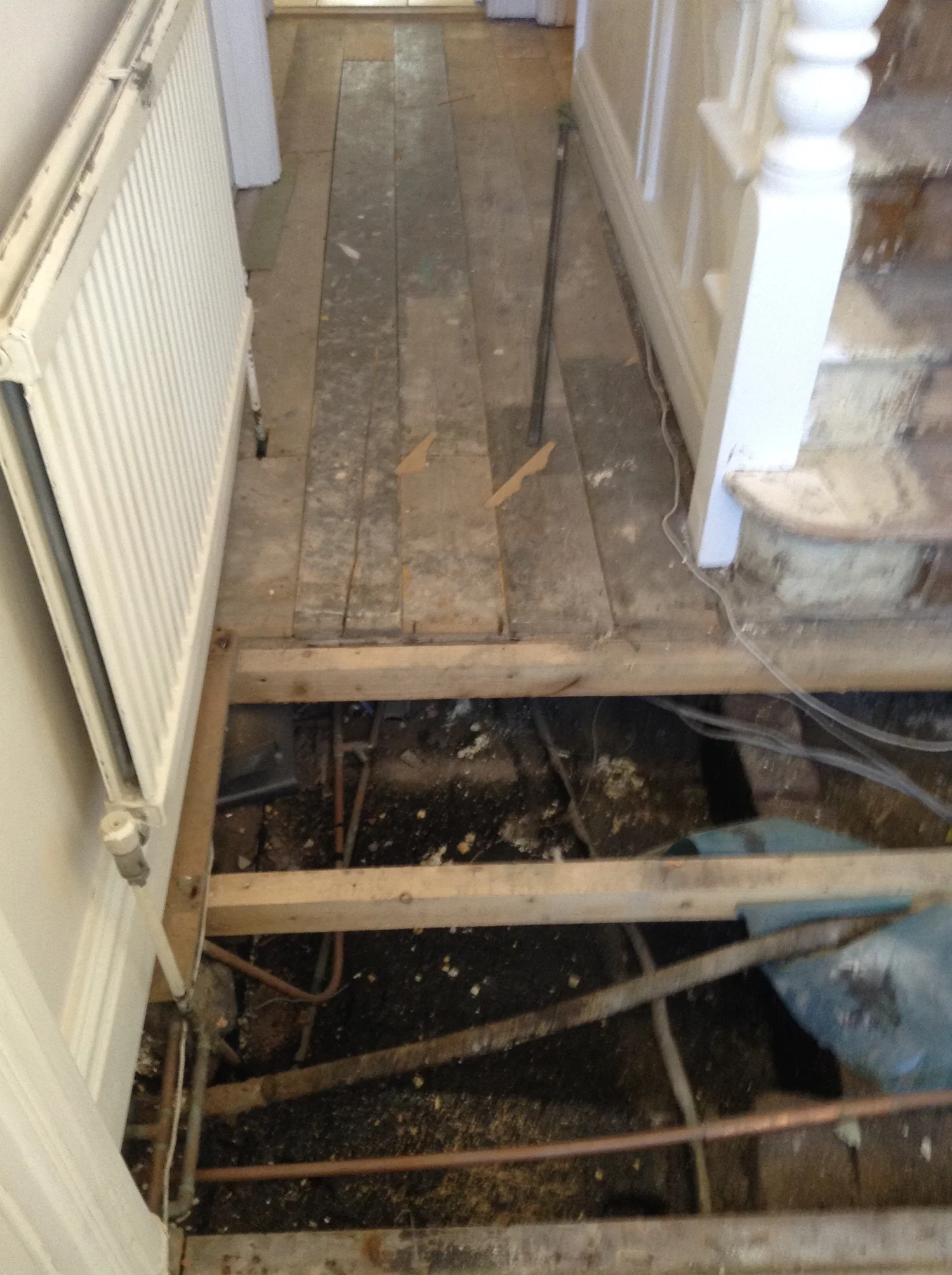 Cost Of Replacing Floor Joists And Floorboards Floor Roma